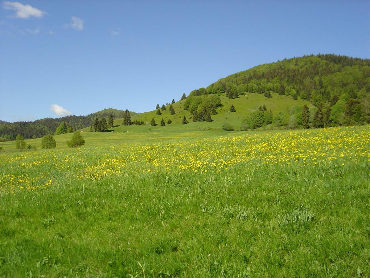Ferienwohnungen Panoramablick Bernau im Schwarzwald Kültér fotó